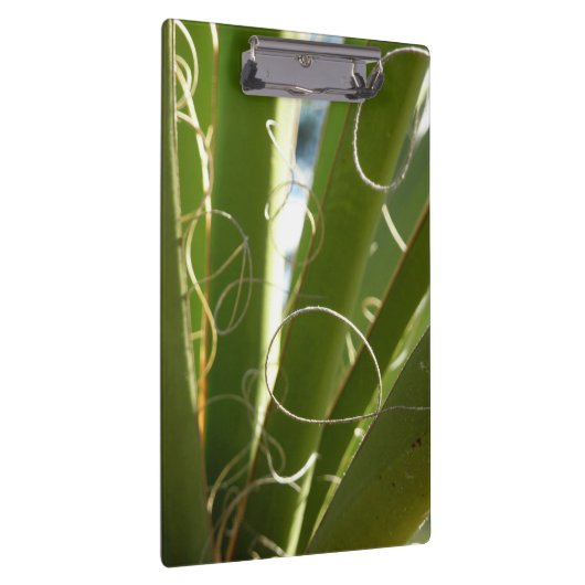 Yucca laat groene Natuur fotografie Klembord (Rechts)