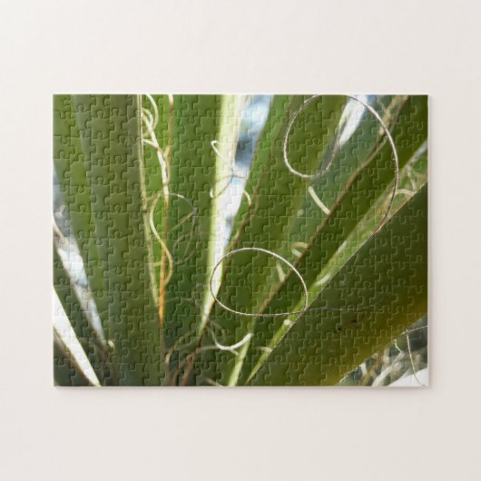 Yucca laat groene Natuur fotografie Legpuzzel (Horizontaal)