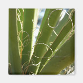 Yucca laat groene Natuur fotografie Magneet (Voorkant)