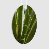 Yucca laat groene Natuur fotografie Ornament (voorkant)