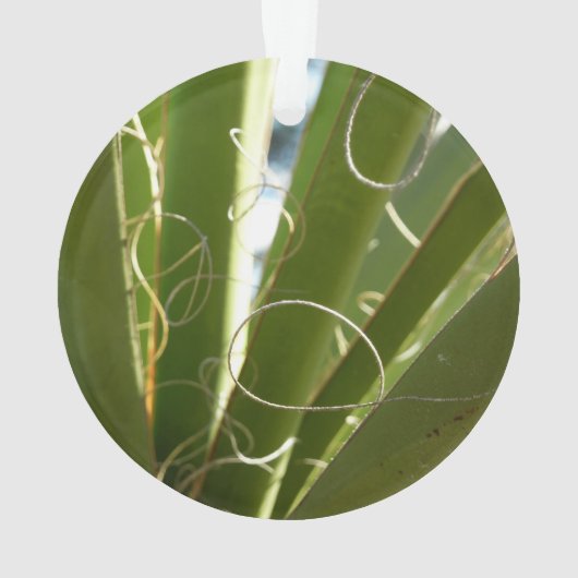 Yucca laat groene Natuur fotografie Ornament (achterkant)