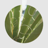 Yucca laat groene Natuur fotografie Ornament (voorkant)