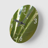 Yucca laat groene Natuur fotografie Ronde Klok (Hoek)