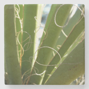 Yucca laat groene Natuur fotografie Stenen Onderzetter