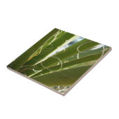 Yucca laat groene Natuur fotografie Tegeltje (Zijkant)