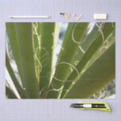 Yucca laat groene Natuur fotografie Tissuepapier (Craft)