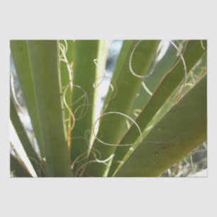 Yucca laat groene Natuur fotografie Tissuepapier