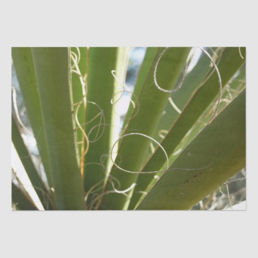 Yucca laat groene Natuur fotografie Tissuepapier (Voorkant)