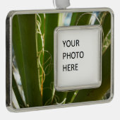 Yucca laat groene Natuur fotografie Verzilverd Omlijst Ornament (Rechts)