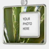 Yucca laat groene Natuur fotografie Verzilverd Omlijst Ornament (Links)