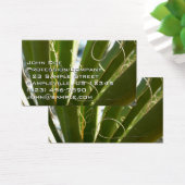 Yucca laat groene Natuur fotografie Visitekaartje (Bureau)