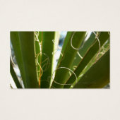 Yucca laat groene Natuur fotografie Visitekaartje (Achterkant)