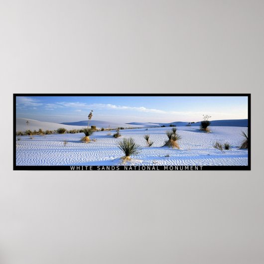 Yucca Panorama Poster (Voorkant)