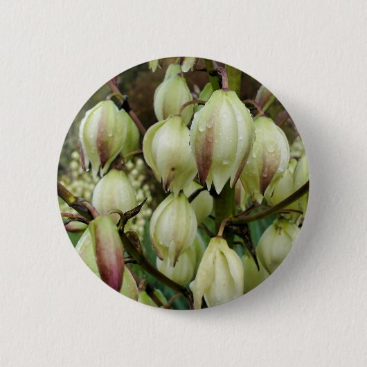 Yucca Plant Badge Ronde Button 5,7 Cm (Voorkant)