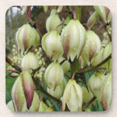 Yucca Plant Bier Onderzetter (Voorkant)