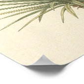 Yucca Plant Botanische Poster (Hoek)