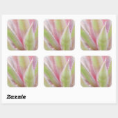 Yucca plant close-up vierkante sticker (Vel)