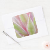 Yucca plant close-up vierkante sticker (Envelop)
