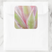 Yucca plant close-up vierkante sticker (Tas)