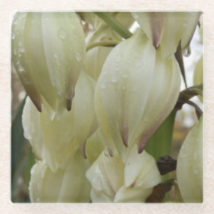Yucca Plant Glazen Onderzetter