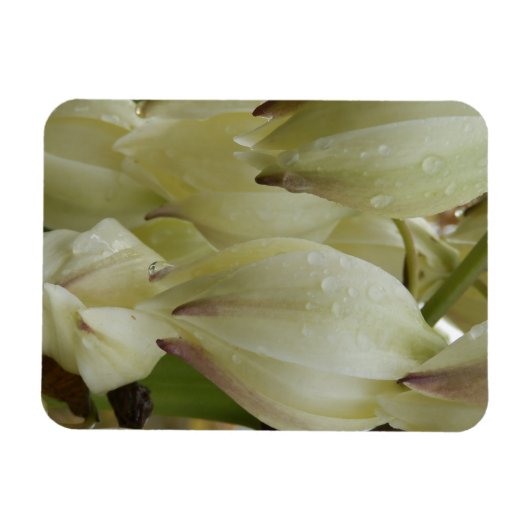 Yucca Plant Magneet (Horizontaal)
