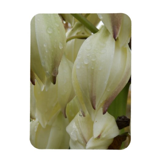 Yucca Plant Magneet (Verticaal)