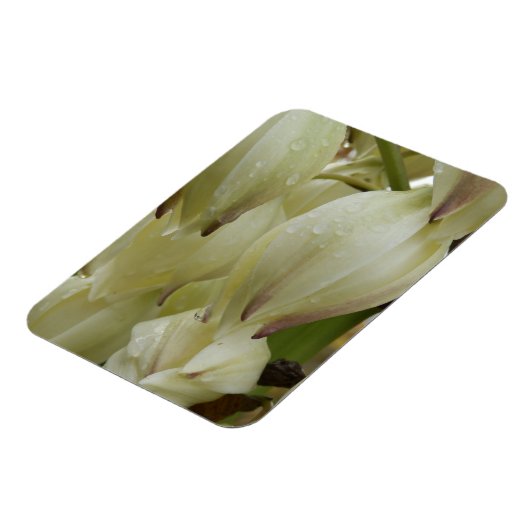 Yucca Plant Magneet (Linkerzijde)