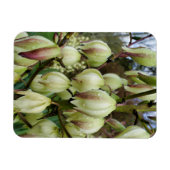 Yucca Plant Magneet (Horizontaal)