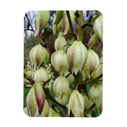 Yucca Plant Magneet (Verticaal)