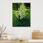 Yucca Plant Poster (Keuken)