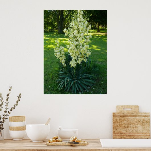 Yucca Plant Poster (Keuken)