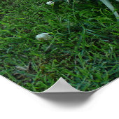 Yucca Plant Poster (Hoek)