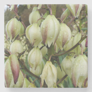 Yucca Plant Stenen Onderzetter