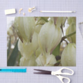 Yucca Plant  Tissuepapier (Craft)
