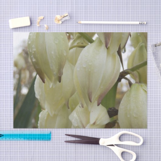 Yucca Plant  Tissuepapier (Craft)