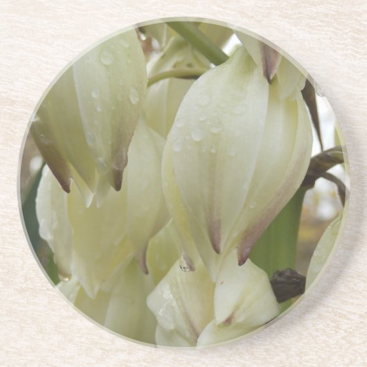Yucca Plant Zandsteen Onderzetter (Voorkant)