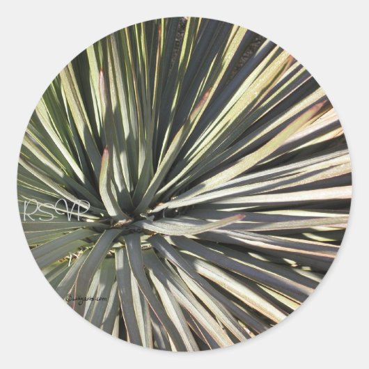 Yucca Radiale RSVP Wedding Seals Sticker (Voorkant)