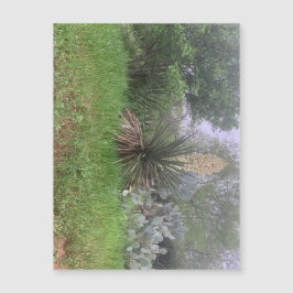 Yucca Scene Magneet (Landschap)