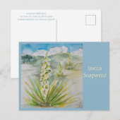 Yucca Soapweed Ansichtkaart Briefkaart (Voorkant / Achterkant)