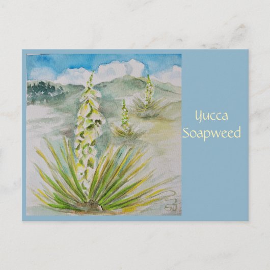 Yucca Soapweed Ansichtkaart Briefkaart (Voorkant)