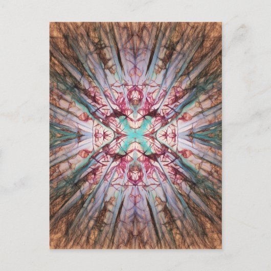 Yucca Warm Glow Briefkaart (Voorkant)