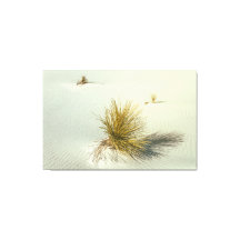 Yucca's bij White Sands