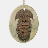 Yuepingia Fossil Trilobite Keramisch Ornament (Rechts)