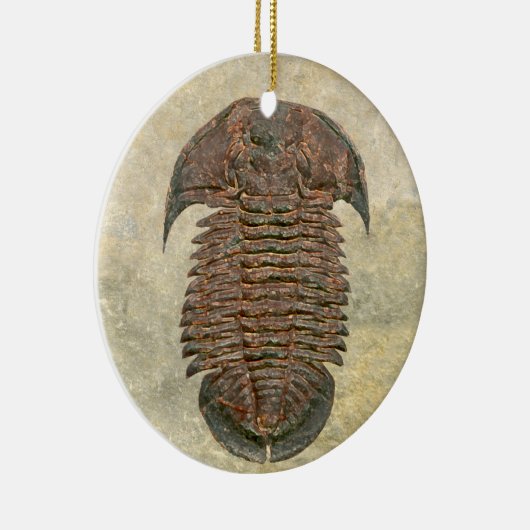Yuepingia Fossil Trilobite Keramisch Ornament (Rechts)