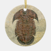 Yuepingia Fossil Trilobite Keramisch Ornament (Voorkant)