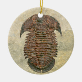 Yuepingia Fossil Trilobite Keramisch Ornament