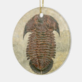 Yuepingia Fossil Trilobite Keramisch Ornament (Links)