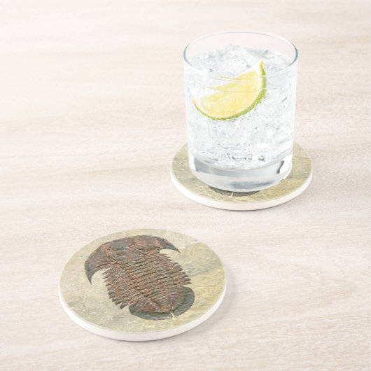 Yuepingia Fossil Trilobite Zandsteen Onderzetter (Zijkant)