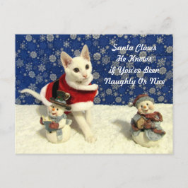 Yuki's Kerstmis - Kat / Keuten-kerstBriefkaart Feestdagenkaart