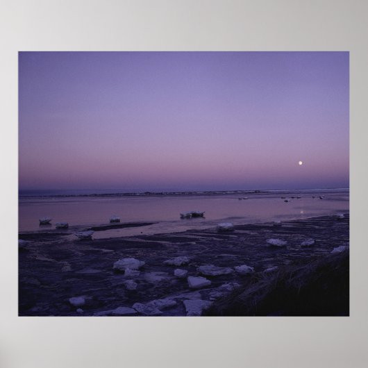 Yukon Delta National Wildlife Refuge Poster (Voorkant)